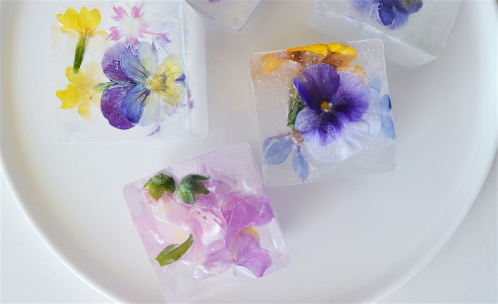 Floral ice cubes                                                      