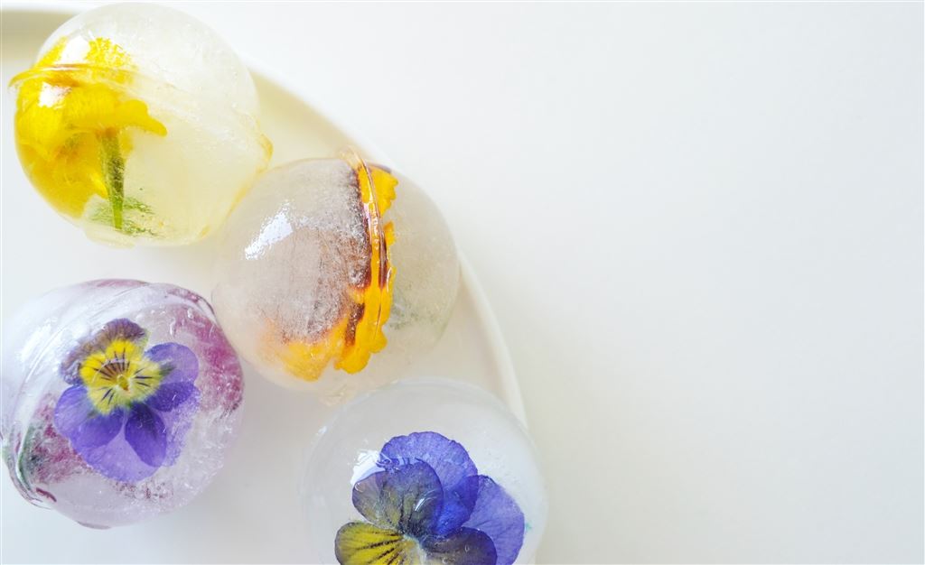 Floral ice cubes                                                      