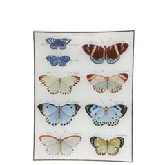 Butterflies Rectangular Tray