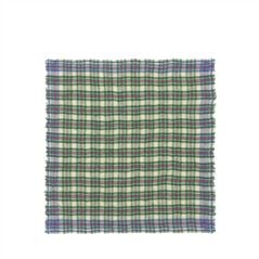 Apple Green Fine Checked Scarf