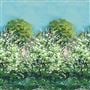 arbre de printemps alta - celadon