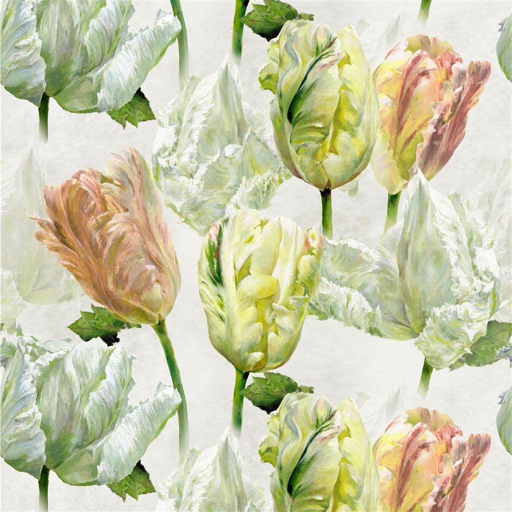 spring tulip - buttermilk