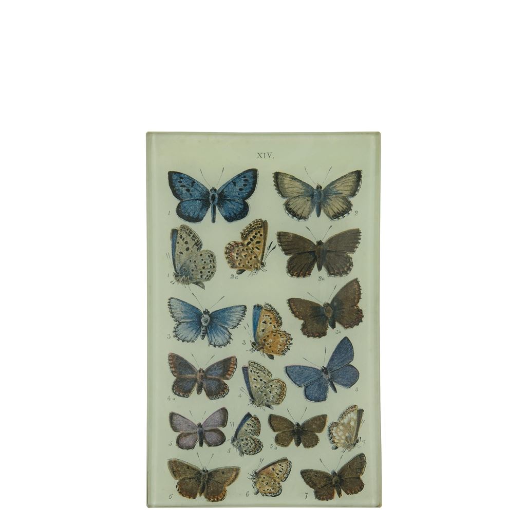 John Derian Butterflies XIV Rectangular Tray