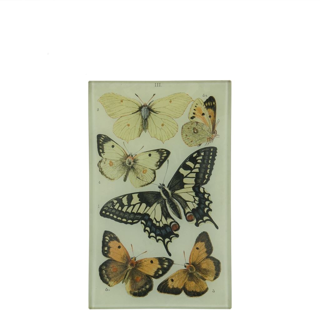 John Derian Butterflies III Rectangular Tray