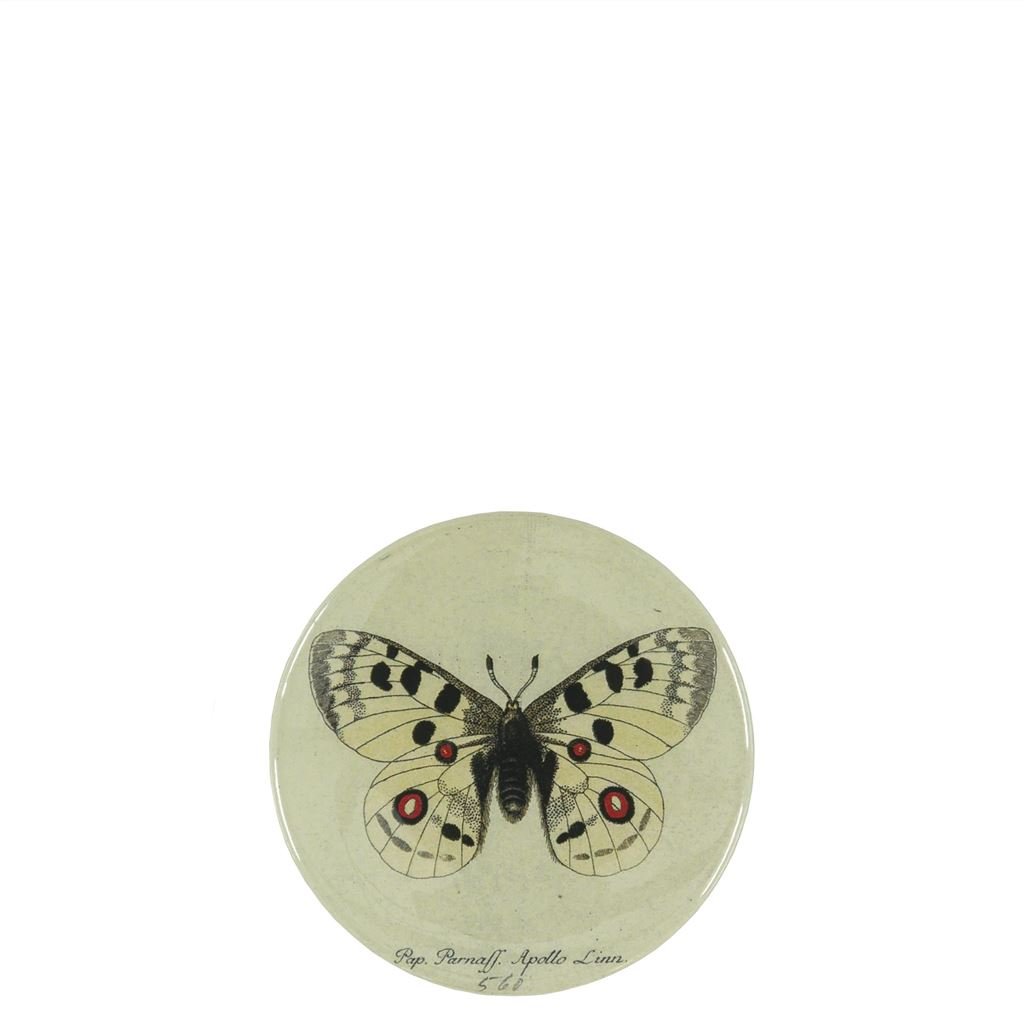 John Derian Apollo Butterfly Compact Mirror 