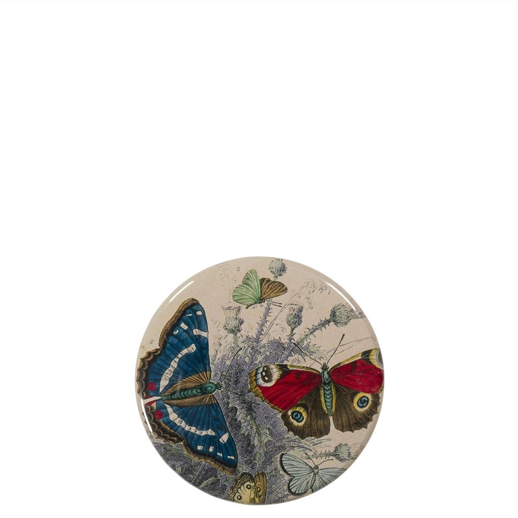 John Derian Butterflies Compact Mirror