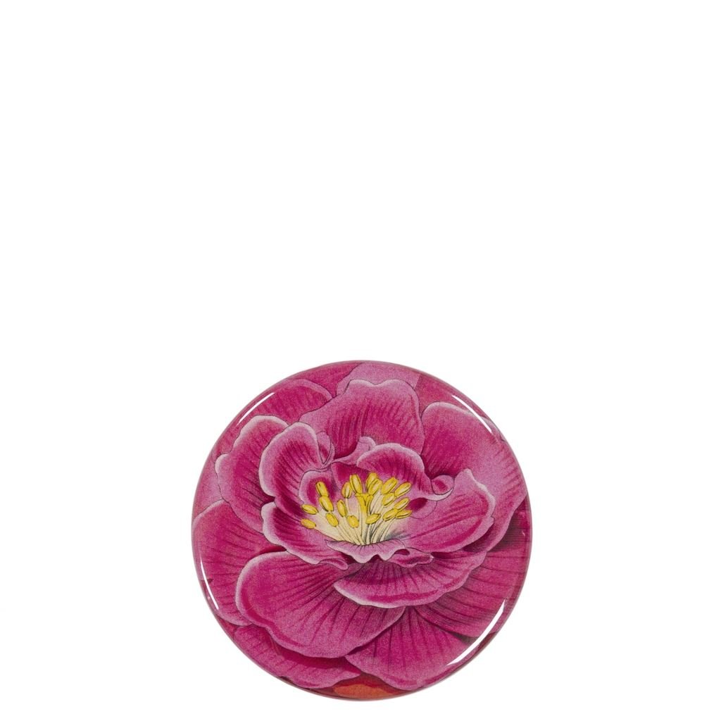 John Derian Camellia Compact Mirror