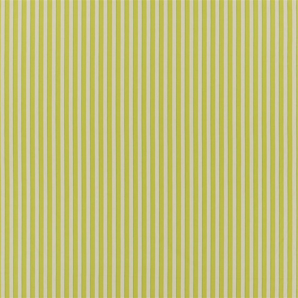 albemarle stripe - lime