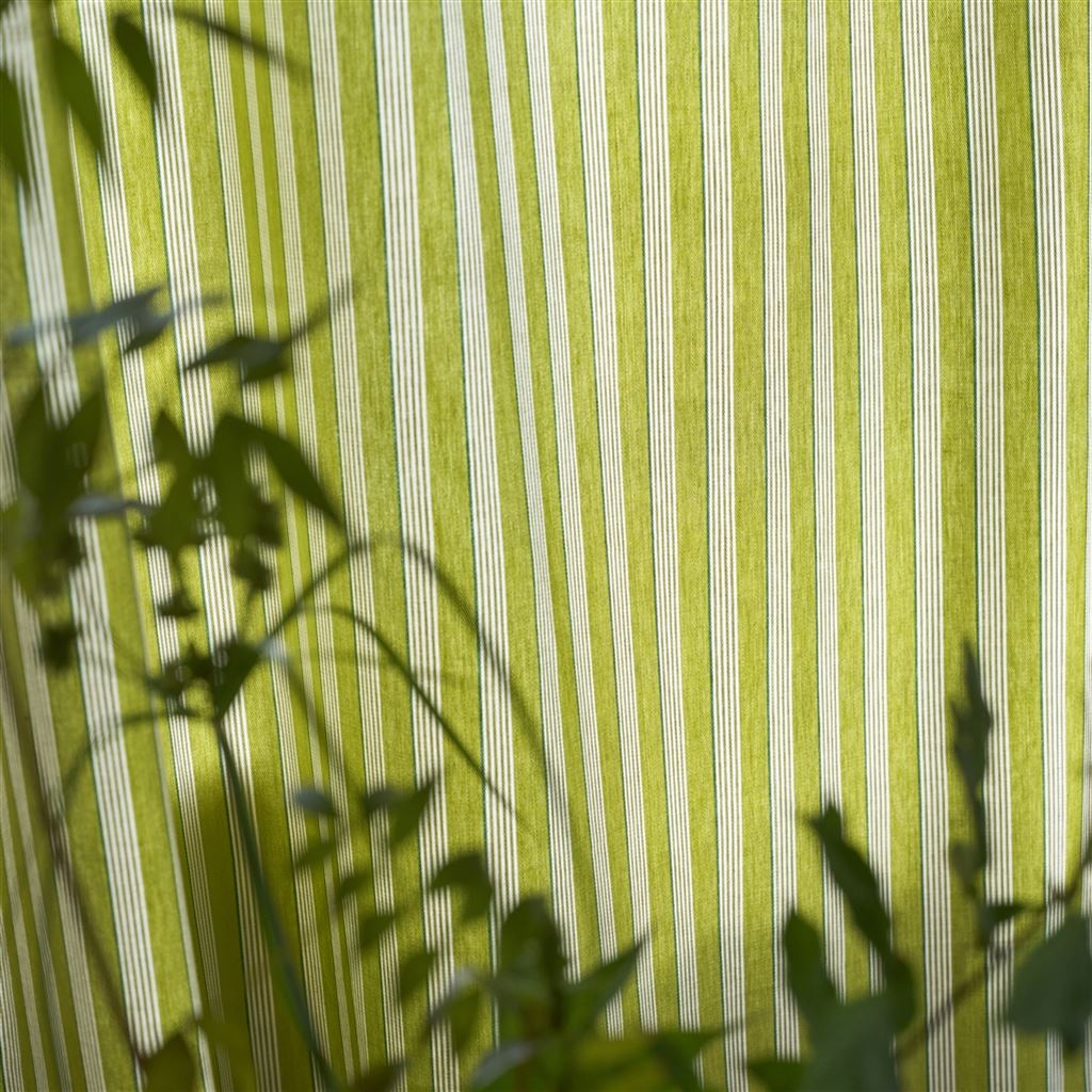 Albemarle Stripe Lime