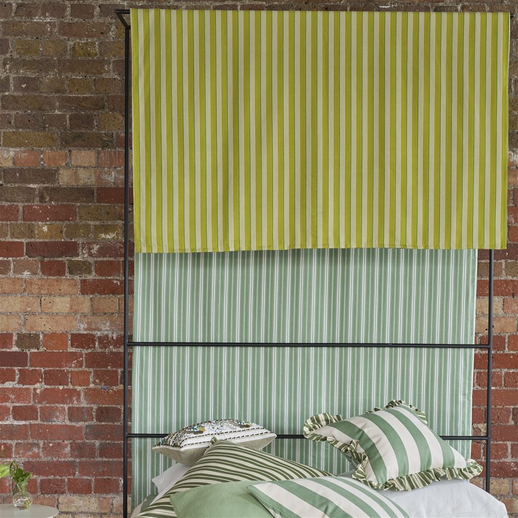 Albemarle Stripe Lime