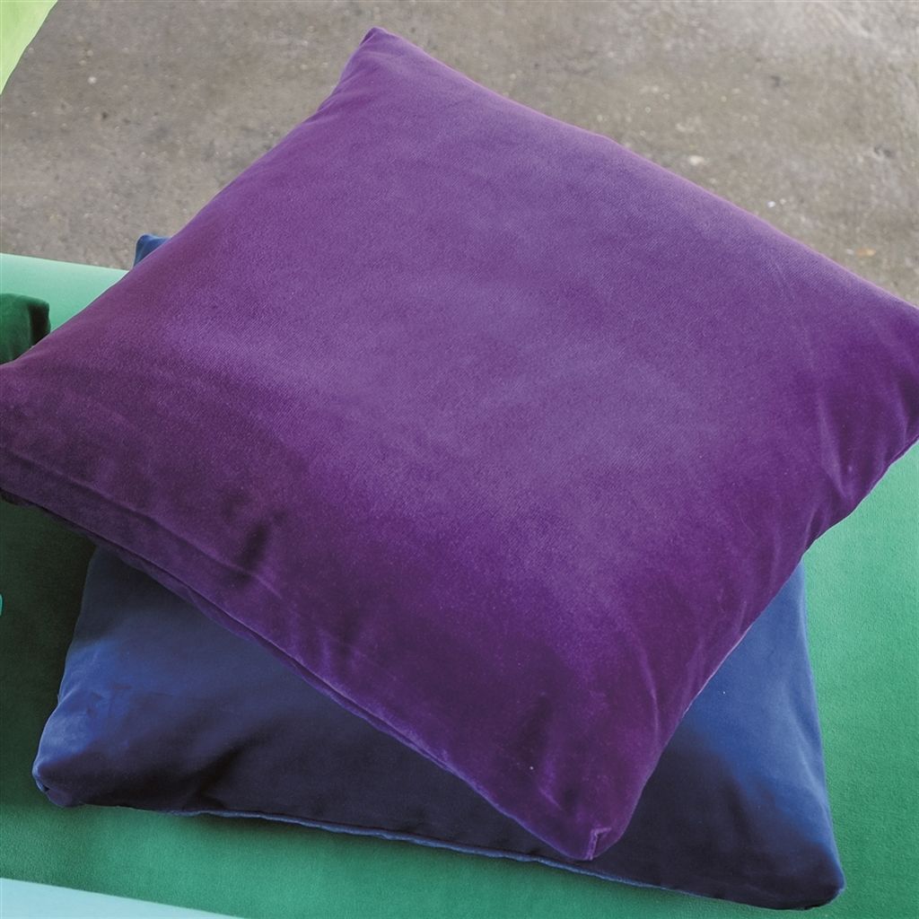 cassia - violet