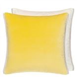 Varese Alchemilla & Parchment Velvet Cushion