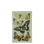 John Derian Butterflies III Rectangular Tray