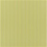 Albemarle Stripe Lime