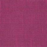 eton - fuchsia