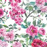 Shanghai Garden - Pivoine Lithos