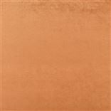 Vicenza Russet