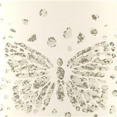 Les Messagers Perle Butterfly Wallpaper