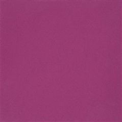 Ernani Cassis Purple Wallpaper