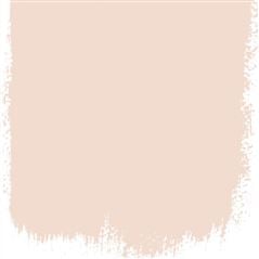 Pink Salt Pink Salt Pink Paint