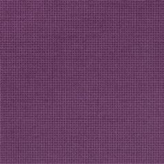 Tolmer - Wide Viola Purple Wallpaper