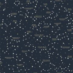 Starry Sky Midnight Blue Ralph Lauren Wallpaper