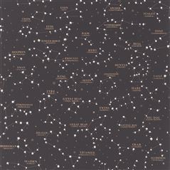 Starry Sky Black Ralph Lauren Wallpaper