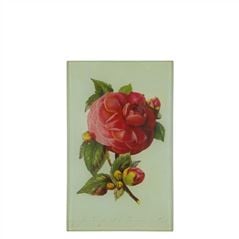 John Derian Camellia Rectangular Tray