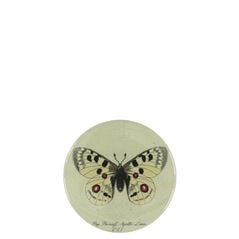 John Derian Apollo Butterfly Compact Mirror 