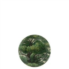 John Derian Branches Compact Mirror