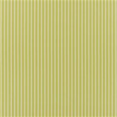 Albemarle Stripe Lime