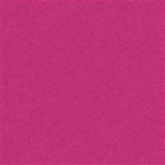 Brinzio Fuchsia