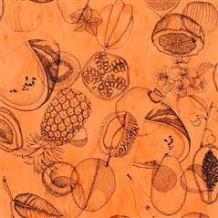Agua Parati Papaye Orange Wallpaper