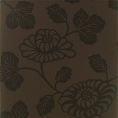 Kashima Cocoa Black Wallpaper