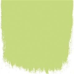 Lime Tree Lime Tree Green Paint