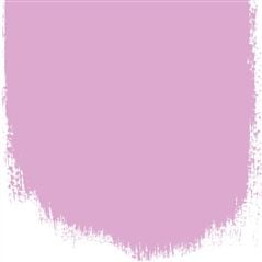 First Blush First Blush Pink Paint