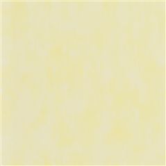 Parchment Primrose Yellow Wallpaper