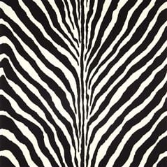 Bartlett Zebra Charcoal Animal Print Wallpaper