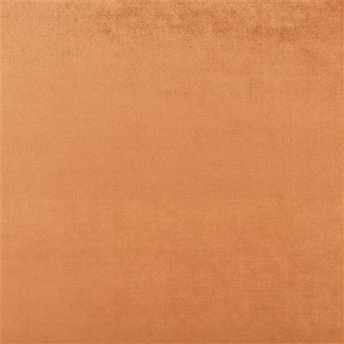 Vicenza Russet