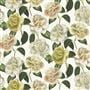 camellia folly - parchment