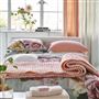 Chenevard Blossom & Peach Quilts & Shams