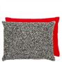 Elliottdale Charcoal & Scarlet Cushion 