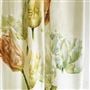 Spring Tulip Buttermilk Shower Curtain