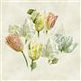 Spring Tulip Buttermilk Shower Curtain