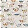 Butterfly Studies - Parchment Cutting
