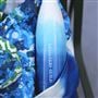 Shoshi Water Bottle