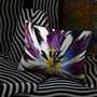 Eclosion Agate Cushion