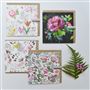 Fuchsia Greeting Cards Set Of 4