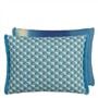 tarakan azure outdoor cushion