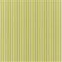 albemarle stripe - lime